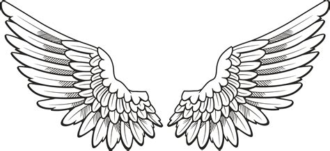 png wing|png wing deutsch.